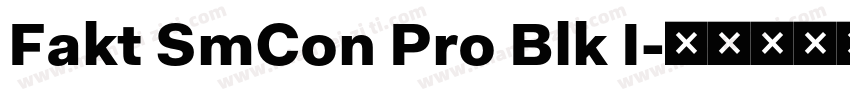 Fakt SmCon Pro Blk I字体转换